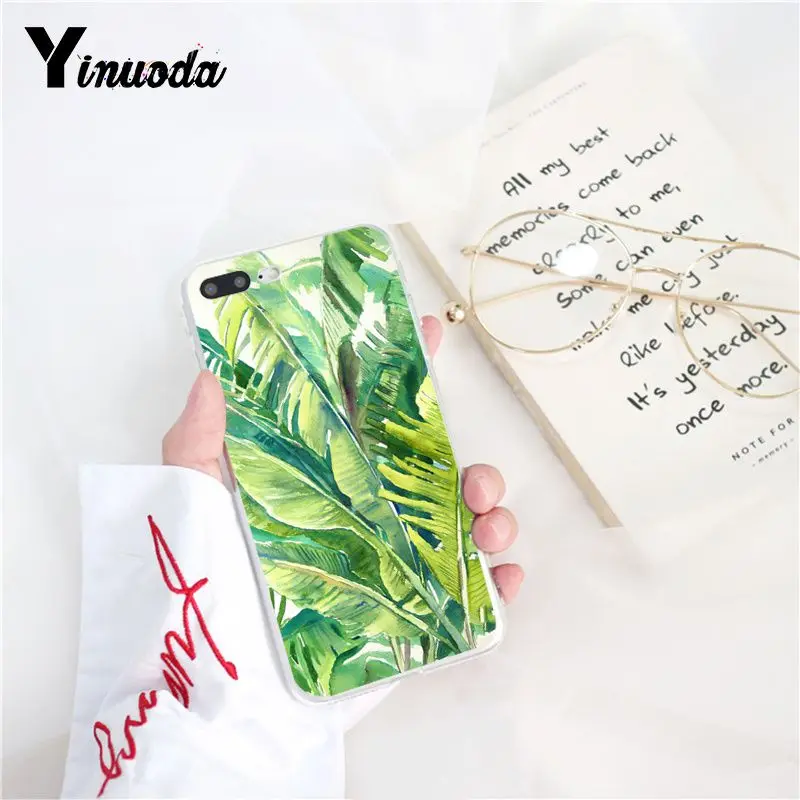 Tropical Plants Cactus Banana Leaves