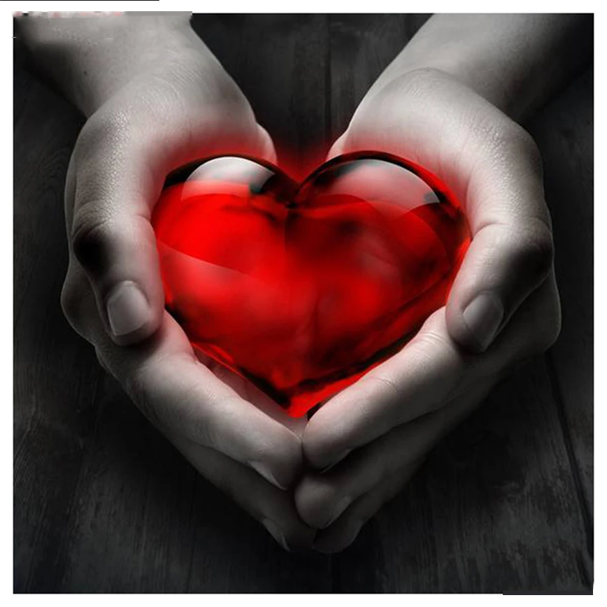 HTB1hvbaihHI8KJjy1zbq6yxdpXaR