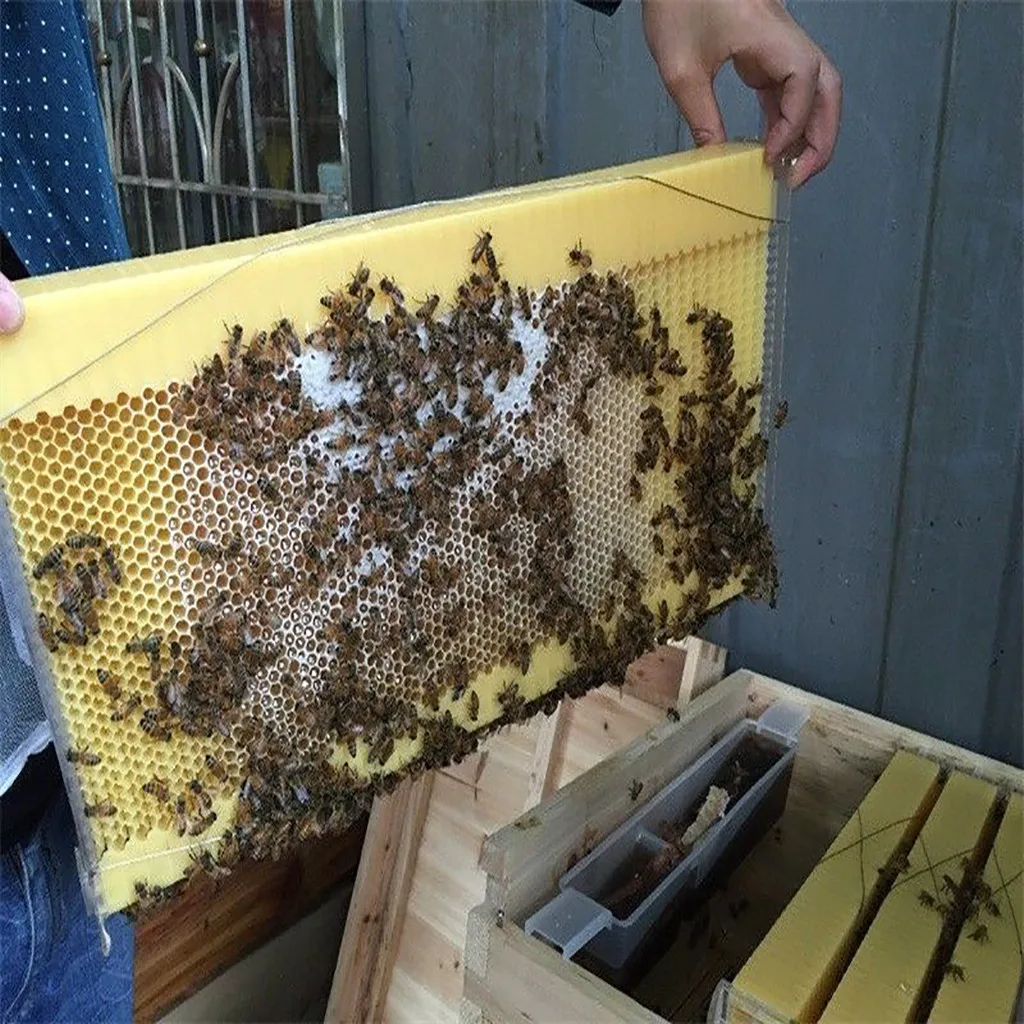 

10Pc Bee Nest Beekeeping Honeycomb Assembled Commercial Frames with Waxed Natural Rite-Cell Foundation beekeeping supplies