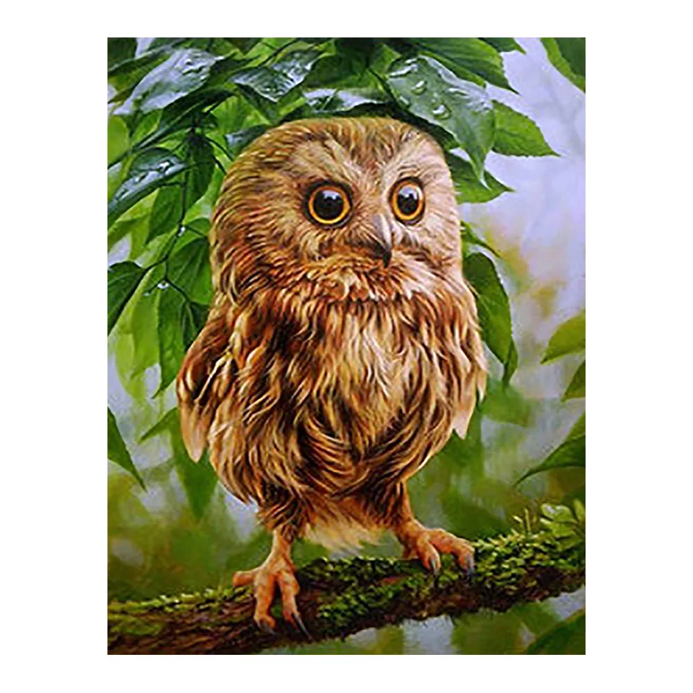 

owl animal Moge Diamond Painting Full Round New DIY Toy Sticking Drill Cross Embroidery 5D cartoon simple Home Decoration
