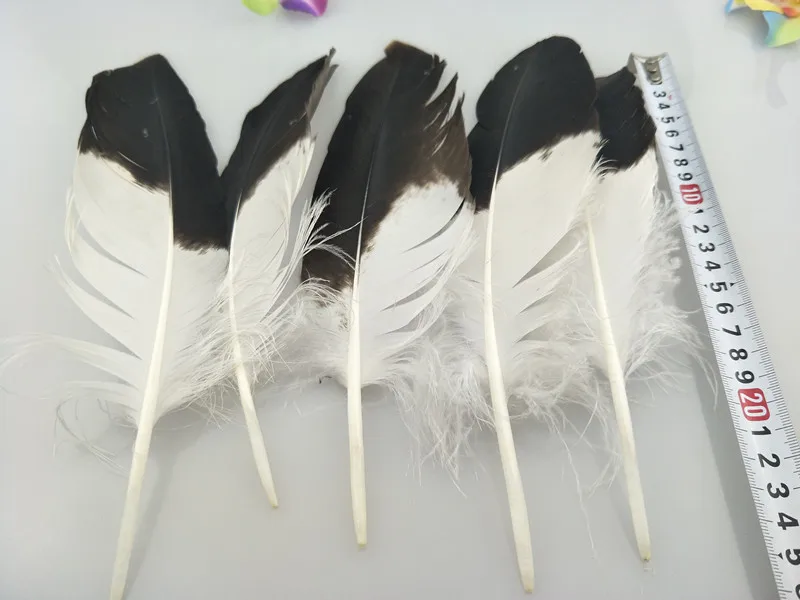 22cm-25cm_