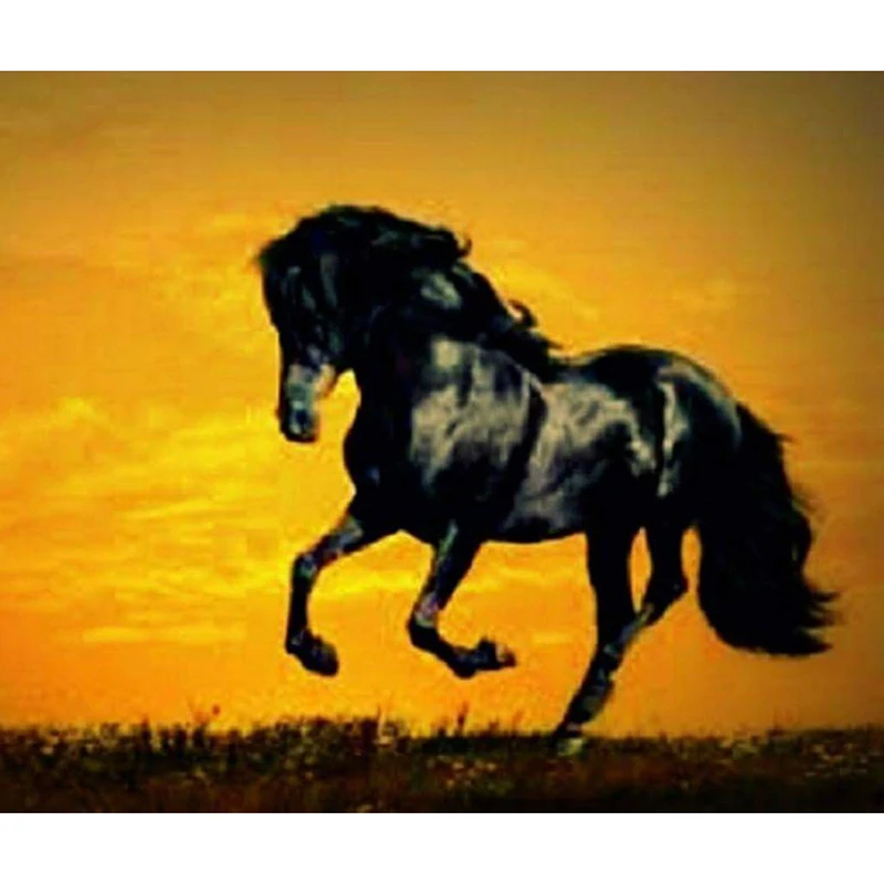 UT8wuW9X1BbXXagOFbXQ