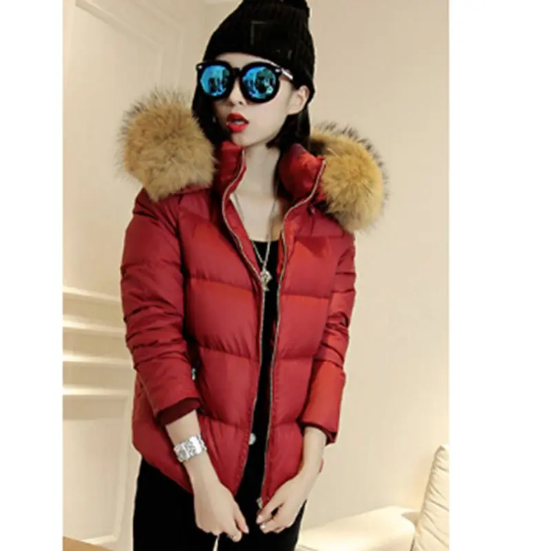 Зимнее Новое модное женское пальто для отдыха, большие размеры, толстое теплое хлопковое пальто с капюшоном, чистый цвет, тонкая куртка с меховым воротником, G2309 - Цвет: Wine red