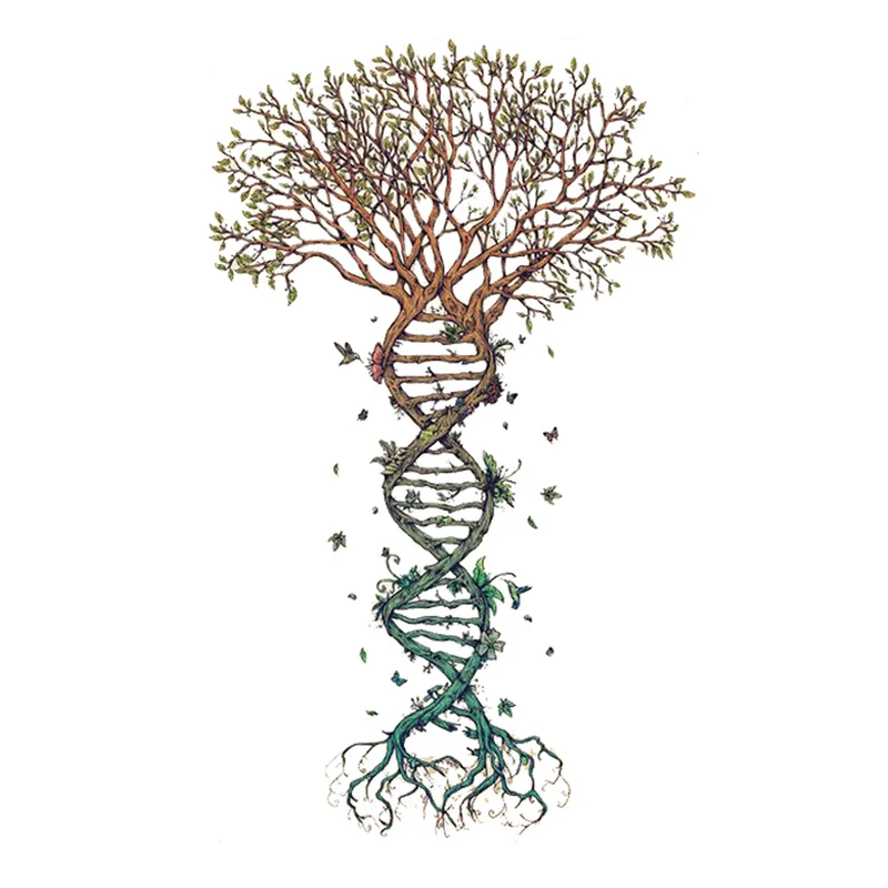 

Wyuen New Design Tree Fake Tattoo Original Vine Waterproof Temporary Tatoo Stickers for Women Men Body Art Black Tattoos P-134