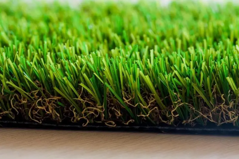 landscape grass (21)