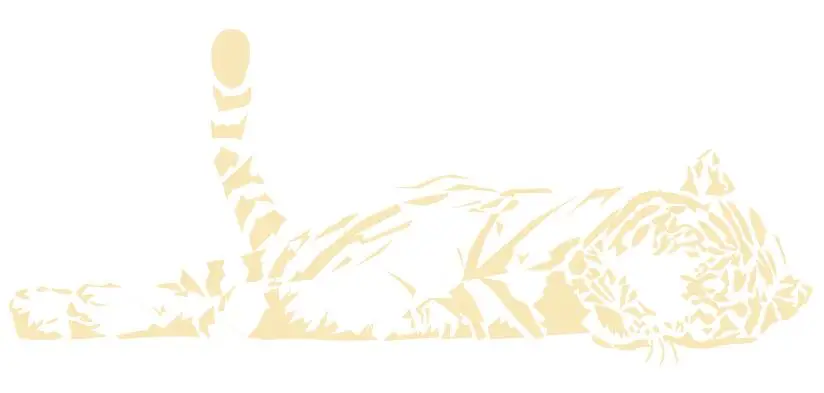 ZN G232 Бенгальский Тигр большой стикер на стену с кошкой/Lage Декор интерьера/большая кошка передачи декоративное искусство наклейки для стены в гостиной - Цвет: Cream colored