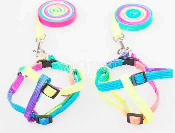 Colorful rainbow dog harness cat dog accessories walking harness leads
