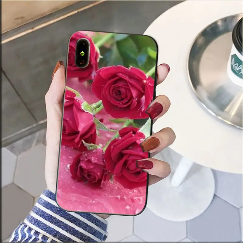 Red Pink Rose