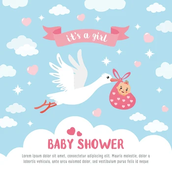 

Baby Shower for Gilr Backdrop Sky White Clound Party Decoration Dessert Table Decor Photo Background Xt-7427