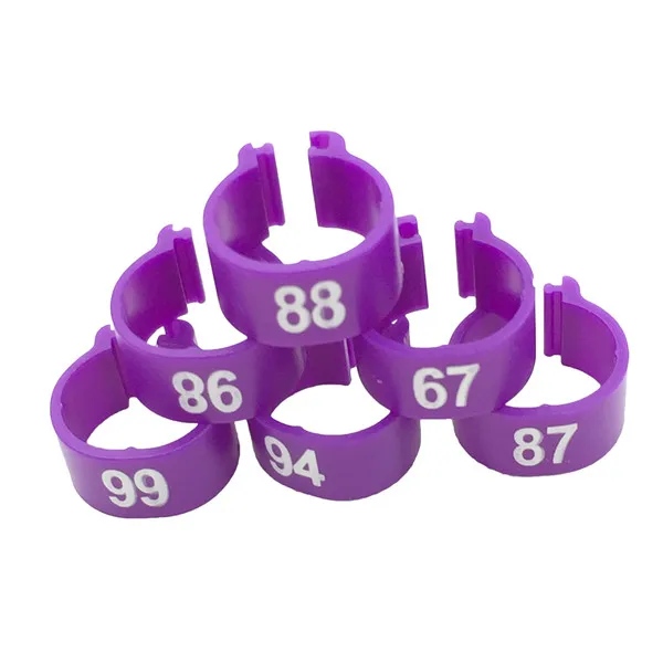 100 шт NO.1-100 кольца для голубей цветные кольца для ног управление птицами логотип голубь курица перепелиное кольцо Инструменты для кормления животных - Цвет: Фиолетовый