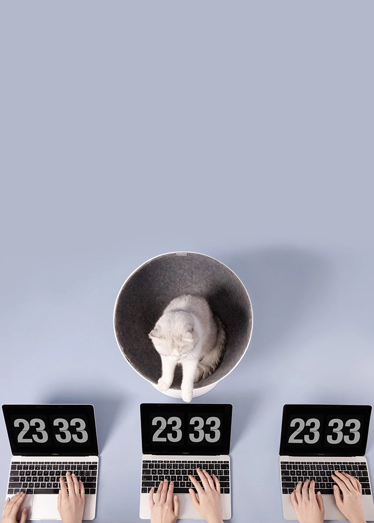 9591737489_119719238