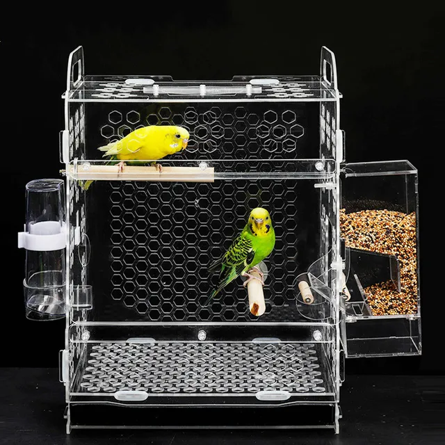 1 PCS Pet bird cage parrot breeding cage tiger skin peony cloud acacia bird small acrylic bird cage AP11261526