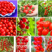 Промоакция! вишня томат бонсай, красный, помидор Черри, посылка для овощей и фруктов, сад, 100 шт./упак.,# FPJ95E