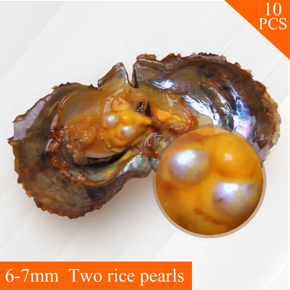 

Twins Pearls 10pcs 6-7mm Vacuum Packing Freshwater Oval Pearl in Oyster