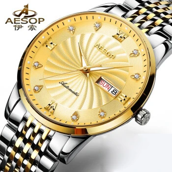 AESOP Mechanical Watch Men Luxury Top Brand Auto Date Diamond Gold Stainless Wristwatch Business Waterproof Montre Homme - Цвет: Золотой