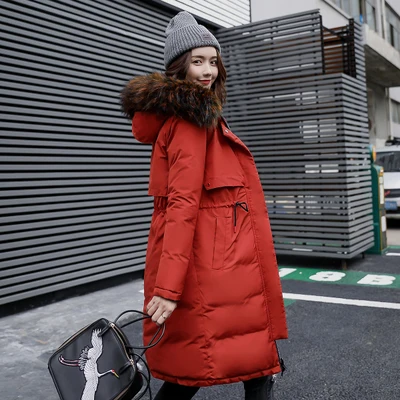Le Grand Taille army black Fourrure Beige Coton D09 gris Veste Épaississement Capuchon Femmes rouge À Nouvelle Grande Vers marine Green Chaud Mince Bleu Col Longue Manteau Vestes De Hiver Parkas camel Bas bourgogne g6WwFEqY