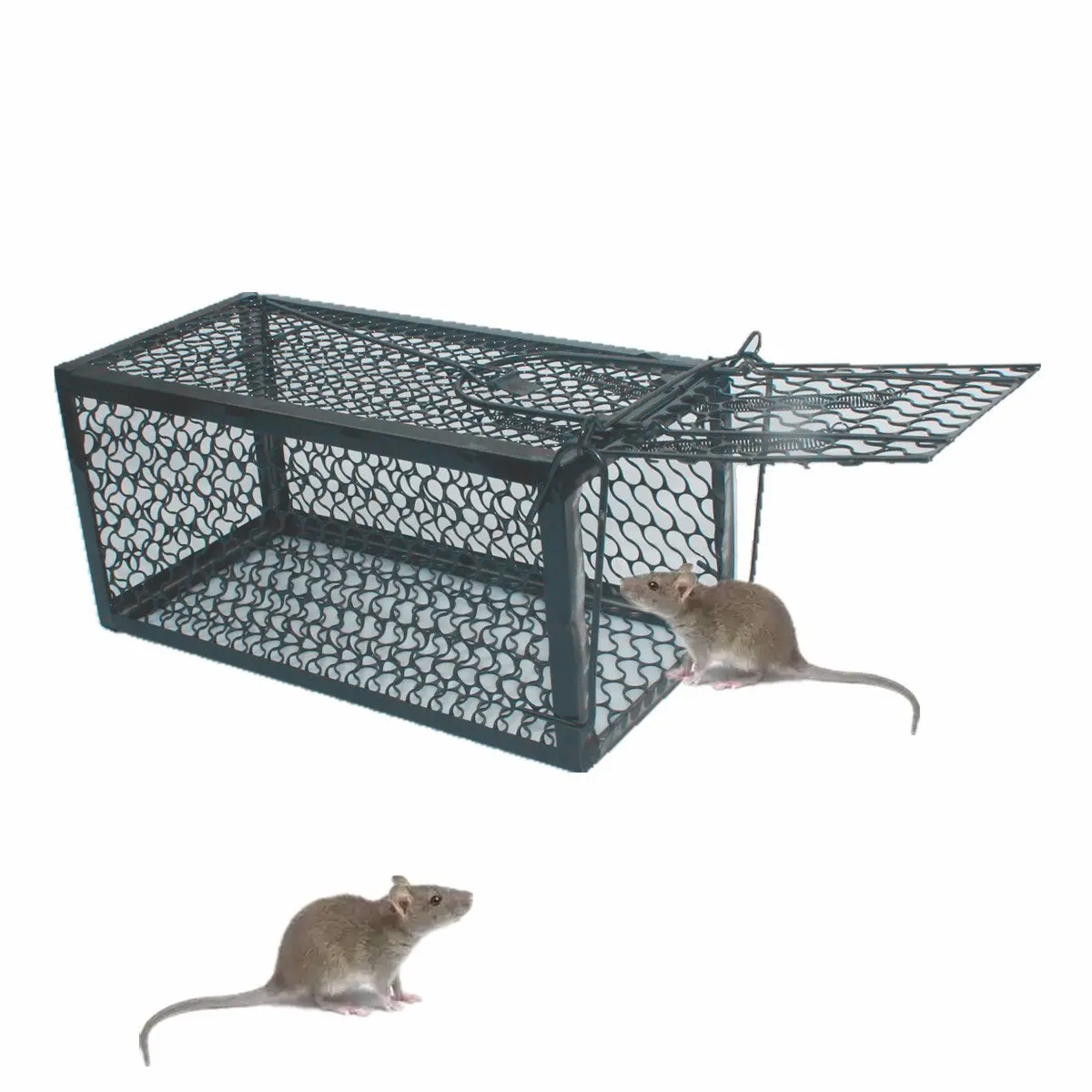 1 дверь гуманное животное живое крыса ловушка, ловушка для крыс, мыши, мыши и более мелких грызунов 25*11*11 см