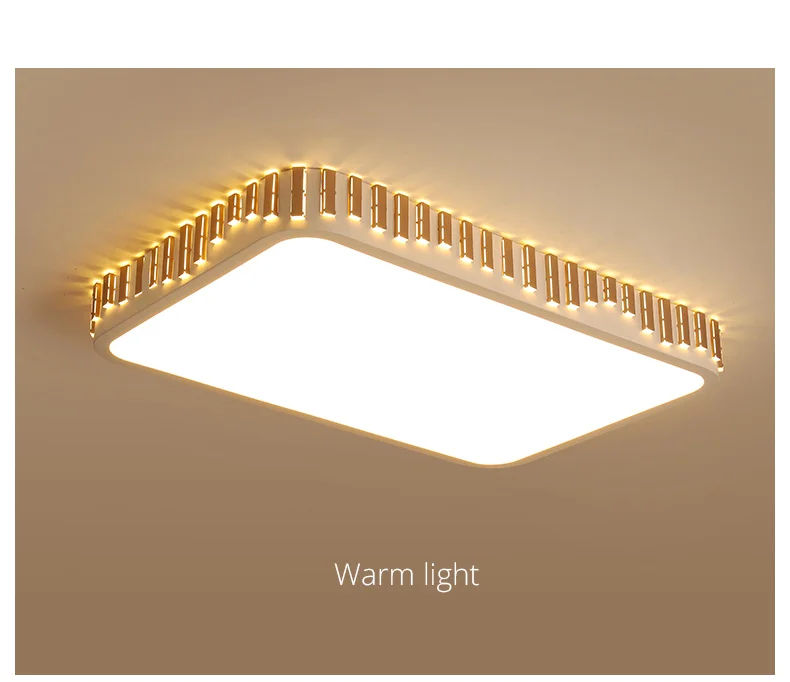 DX Fence Led Ceiling Light Square  (4)