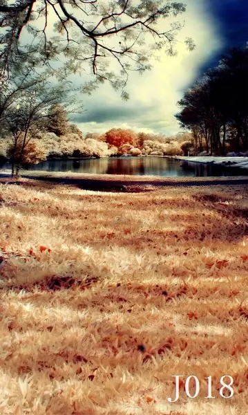 

3*5M Art Cloth Custom Photography Backdrops Prop Nature theme Studio Background J-018