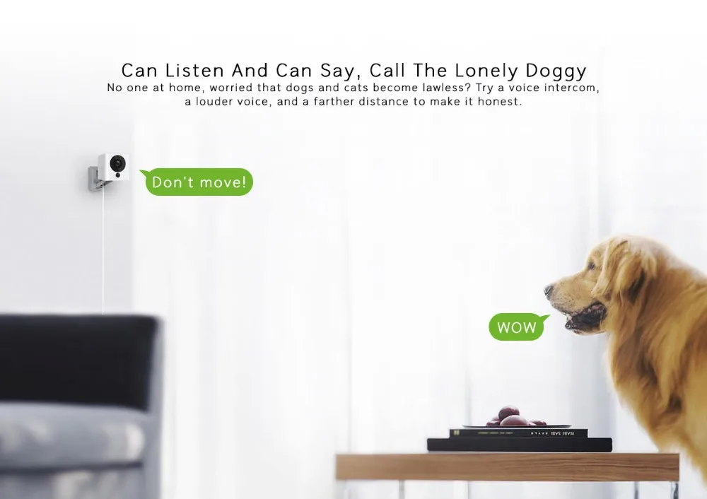 Câmera de Controle para Segurança em Casa Xiaomi Mijia Xiaofang Dafang Câmera Inteligente 1 s 1080 p Nova Versão T20l Chip Wi-fi Digital Zoom App 6 Câmeras de vigilância