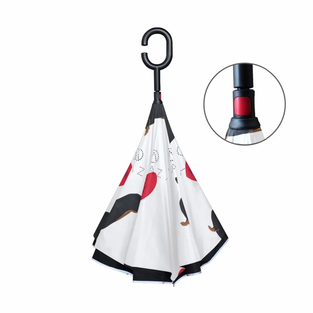 g3354841p183c217s313_2