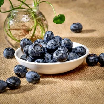 

50pcs Artificial Blueberry Craft Fake Fruit Blueberries Home Kitchen Cabinet Decoration realistic shape