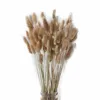 50Pcs/lot Natural Dried Flowers Lagurus Ovatus raw color Rabbit Tail Grass Bunch Real Flower Bouquet for Home Wedding Decoration ► Photo 2/5