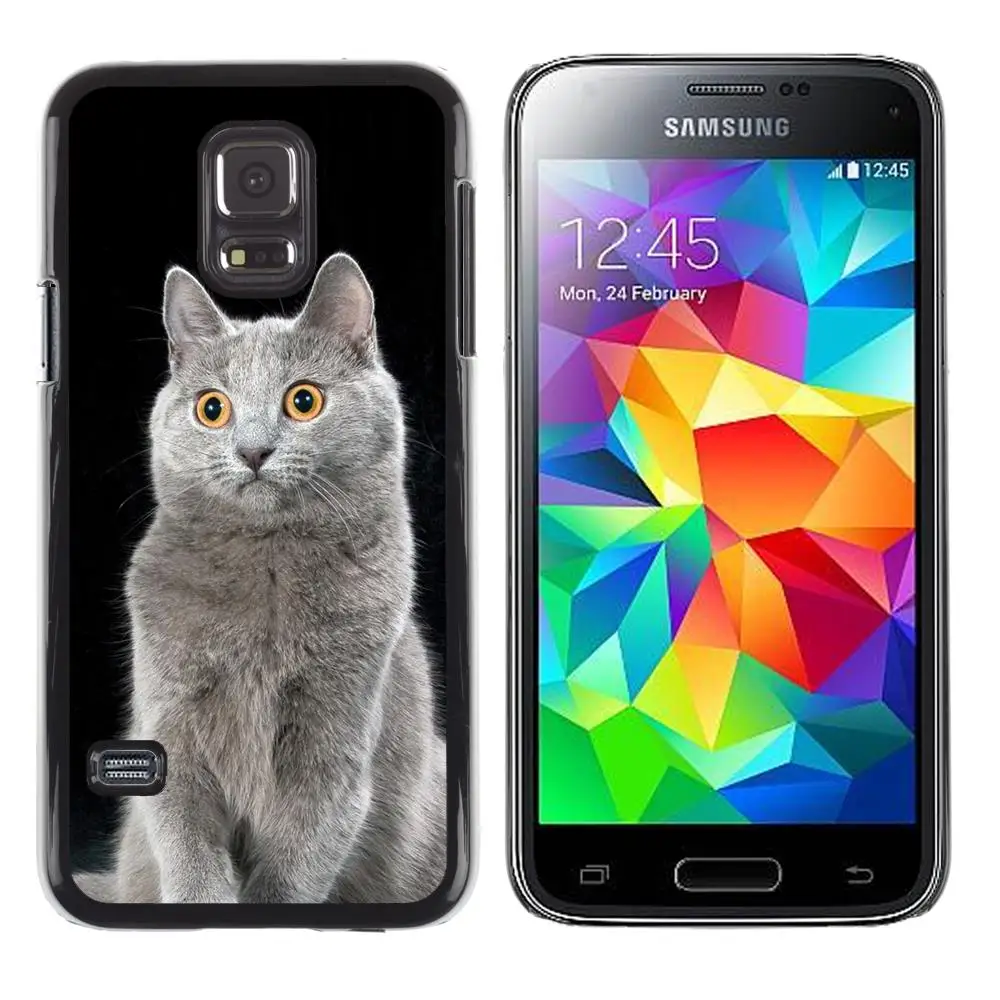Snap On Hard PC Back Shell Case For Samsung Galaxy S5 Mini SM-G800 -Russian Blue Chartreux British Shorthair(S5MINI-3005411) |