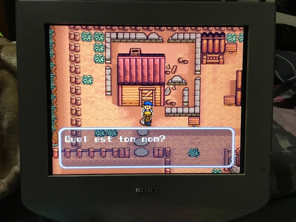 16 бит игр ** Harvest Moon (Французская версия! Французский язык!)|Игры для консолей| |