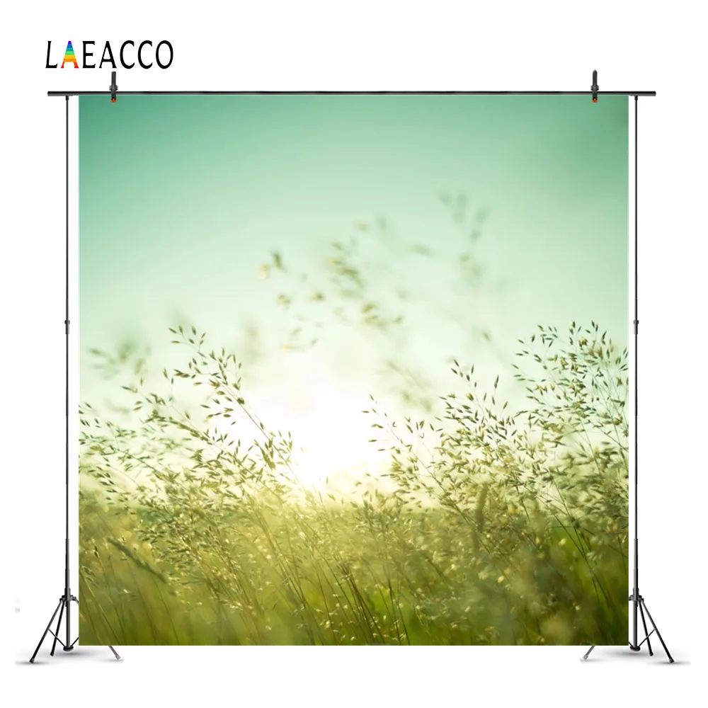Laeacco фотофоны дикий весенний зеленый луг блестящий свет обои Живописный фон для