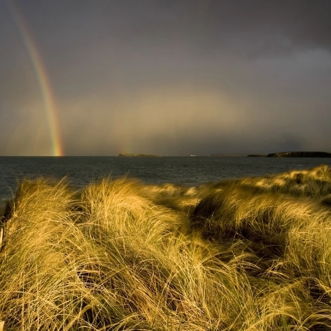 Clew Bay  County Mayo  Ireland; Rainbow Over Ocean Poster Print (17 x 11)