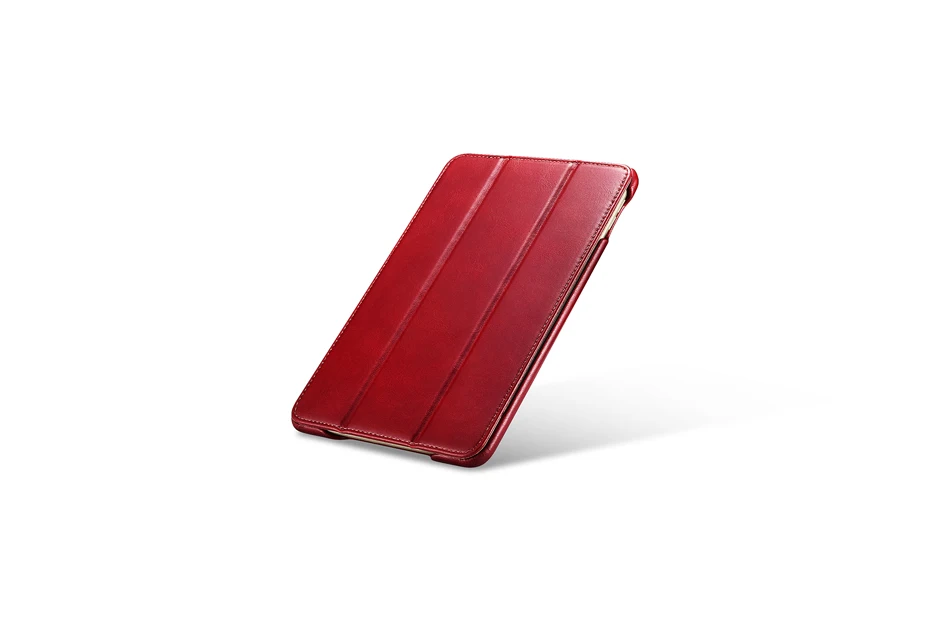 iPad mini 5  Vintage Series(2019)-020
