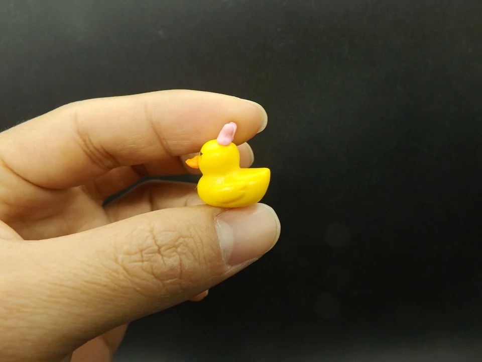 Tiny-A127-Duck (2)
