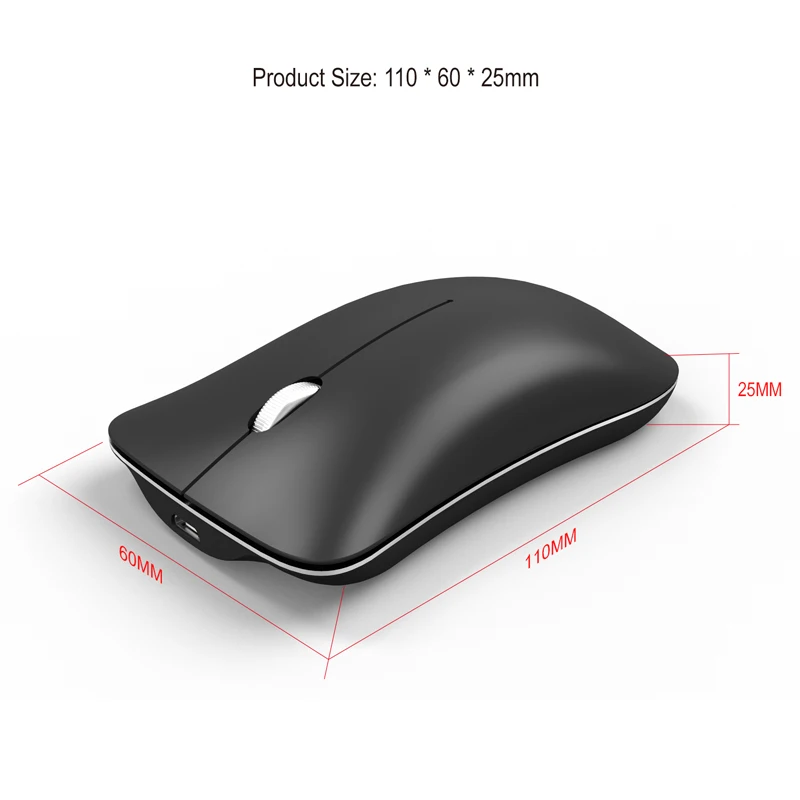 11 Due model mouse
