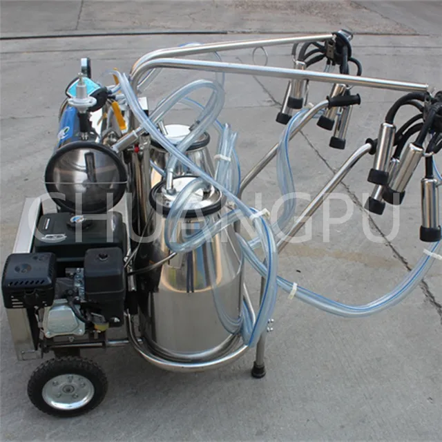 Male milking machine certainly Opinion male milking machine