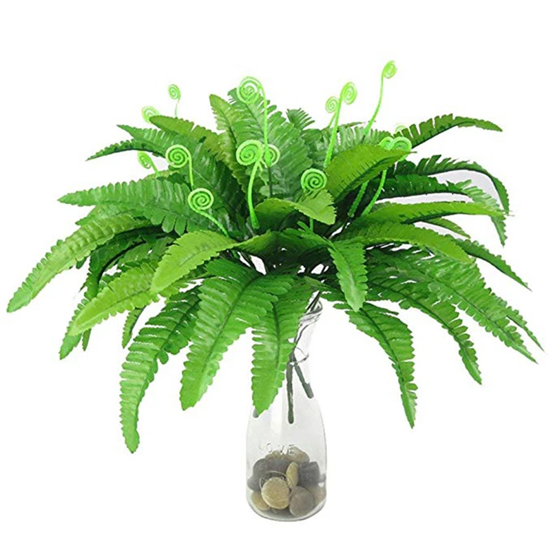 plant-6