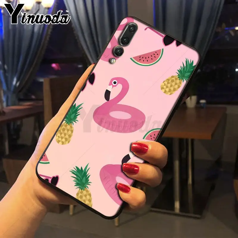 Colorful Flamingo