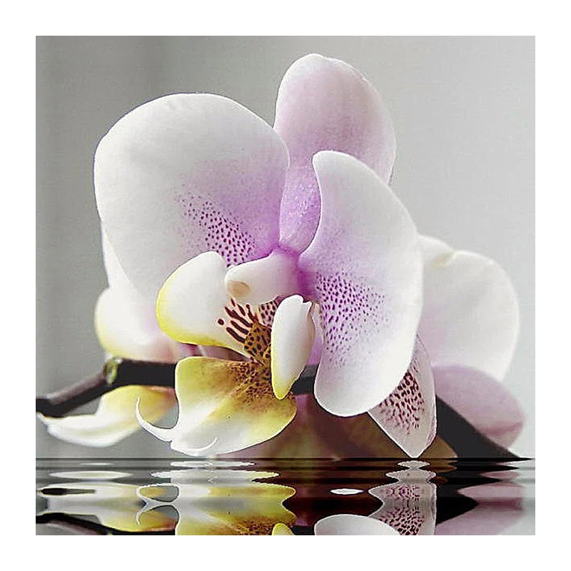 New Full Square Diamond 5D DIY Diamond Painting Pink Flower Embroidery Cross Stitch Rhinestone Mosaic Painting Home Decor Gift 