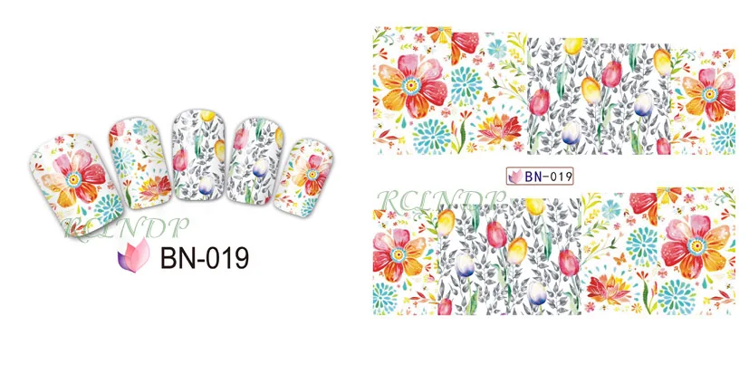 BN-019
