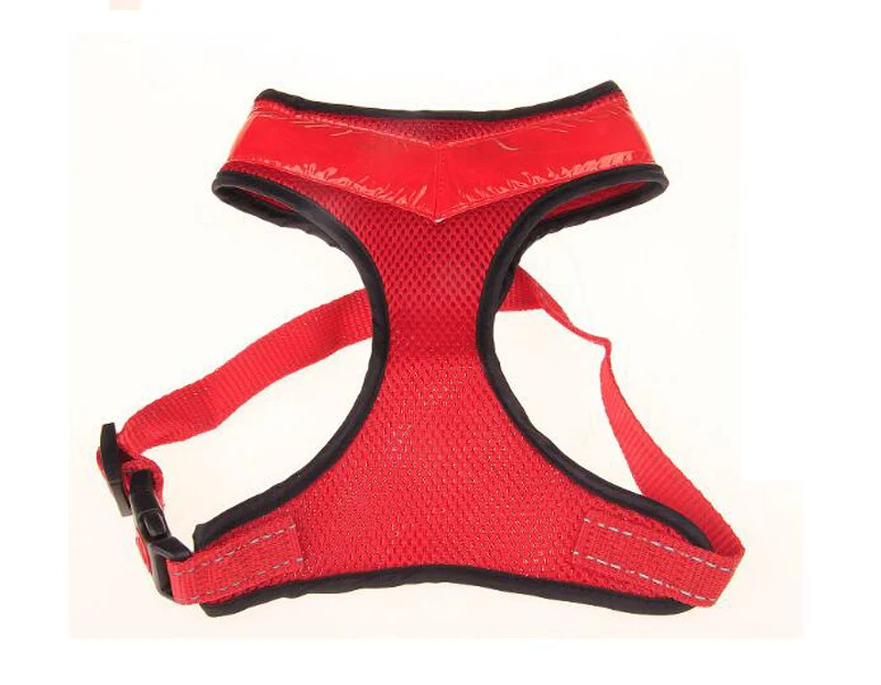 dog supplies  (16)