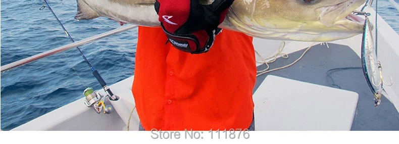 DW-37-CSMN-790_19