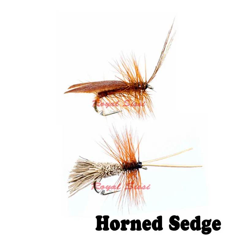 horned saedges