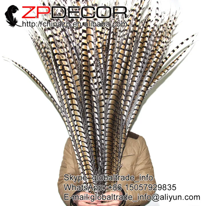 Ведущий поставщик ZPDECOR 40 44 дюйма (100 110 см) 10 шт./лот натуральная леди Amherst фазан