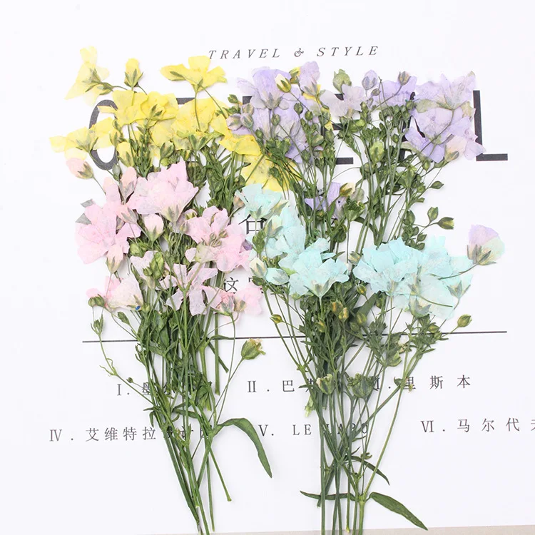 

8PCS 6-9cm Pressed Dried Gypsophila Flower Plant Herbarium For Making Postcard Frame Phone Case Craft DIY Resin Jewelry