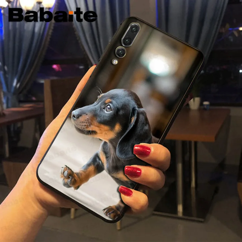 black Dachshund Doberman Dog face