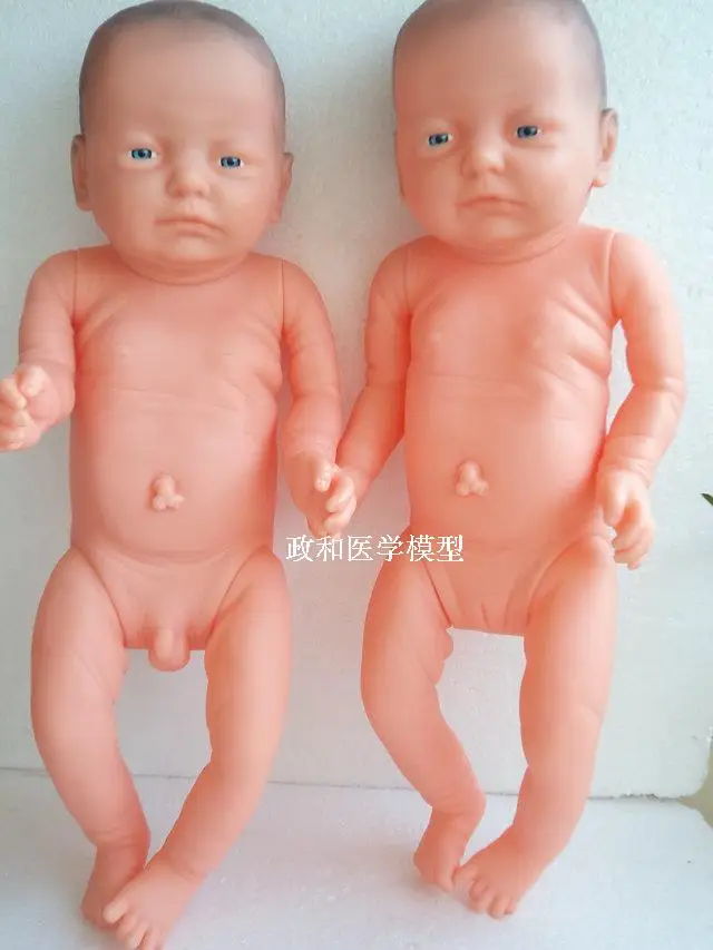 //img.alicdn.com/imgextra/i1/687093950/T2ZyzfXelbXXXXXXXX_!!687093950.jpg