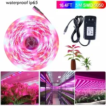 5m 5050 LED Grow Lights DC 12V waterproof Growing LED Strip Plant Growth Tape Fita De Light Set with Power Adapter