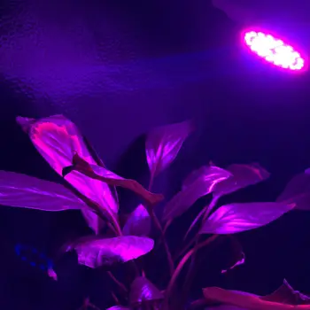 

Full Spectrum LED Grow Light E27/GU10 Spotlight Lamp Bulb Flower Plant Greenhouse Hydroponics System 110V 220V Grow Box S10