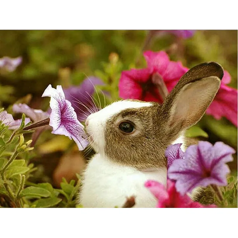 

5D DIY Diamond Painting Cross Stitch Rabbit diamond Embroidery animals Full square Rhinestone Mosaic Painting Home Decor