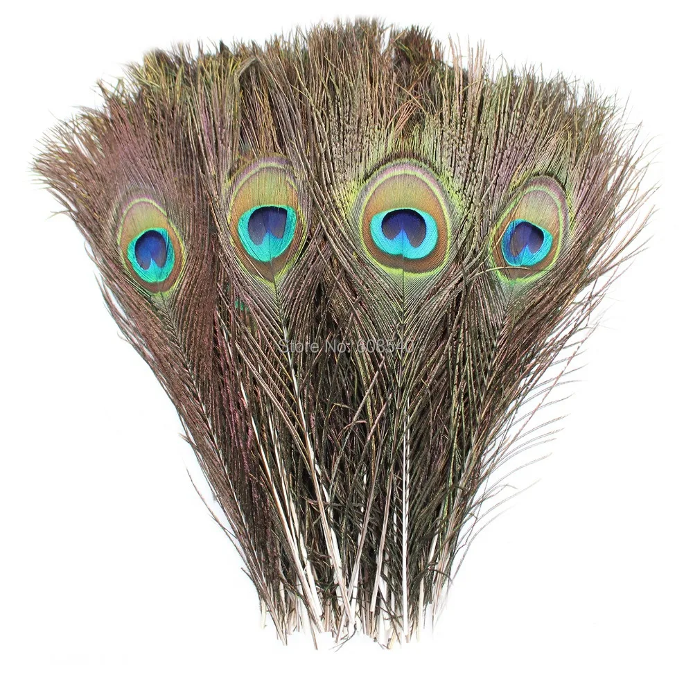 100Pcs10 12'' (25 30cm) Beautiful Natural Peacock Feather Wedding